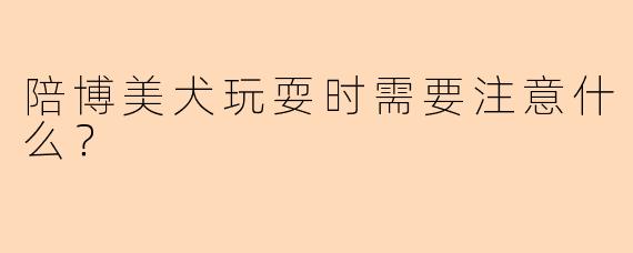 陪博美犬玩耍时需要注意什么？