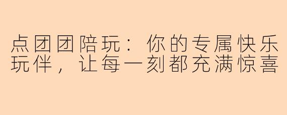 点团团陪玩：你的专属快乐玩伴，让每一刻都充满惊喜