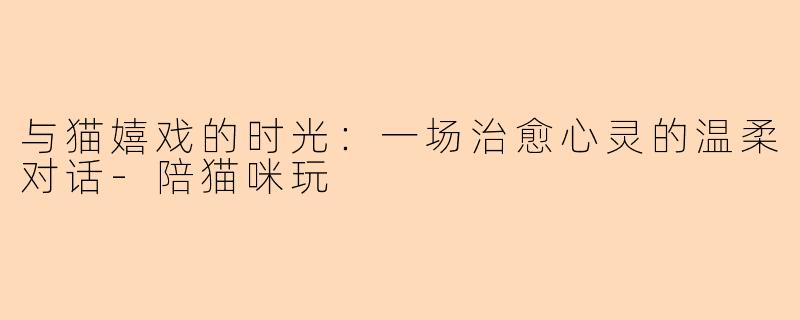与猫嬉戏的时光：一场治愈心灵的温柔对话-陪猫咪玩
