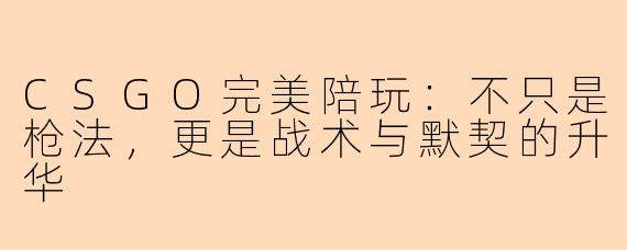 CSGO完美陪玩：不只是枪法，更是战术与默契的升华