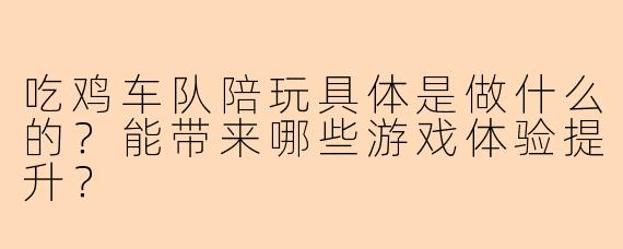 吃鸡车队陪玩具体是做什么的？能带来哪些游戏体验提升？