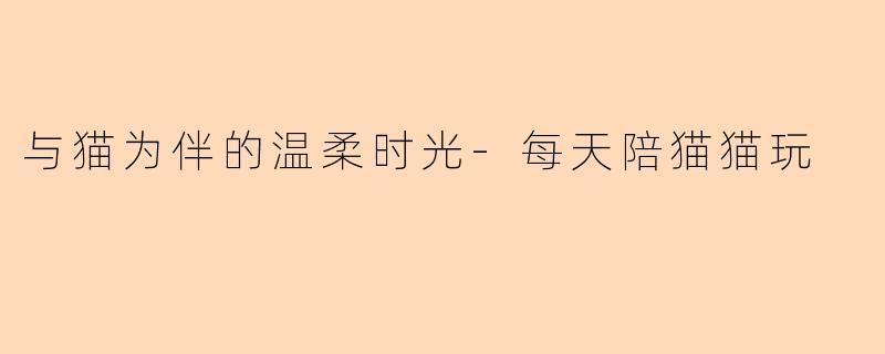 与猫为伴的温柔时光-每天陪猫猫玩