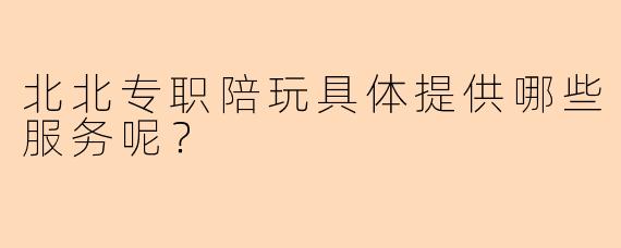 北北专职陪玩具体提供哪些服务呢？