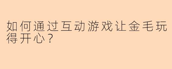如何通过互动游戏让金毛玩得开心?
