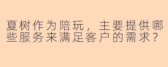 夏树作为陪玩，主要提供哪些服务来满足客户的需求？