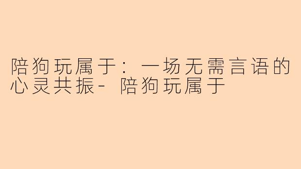 陪狗玩属于：一场无需言语的心灵共振-陪狗玩属于