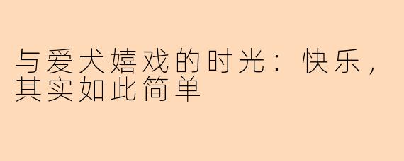 与爱犬嬉戏的时光：快乐，其实如此简单