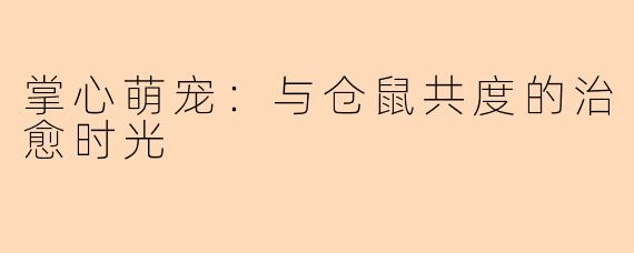 掌心萌宠：与仓鼠共度的治愈时光