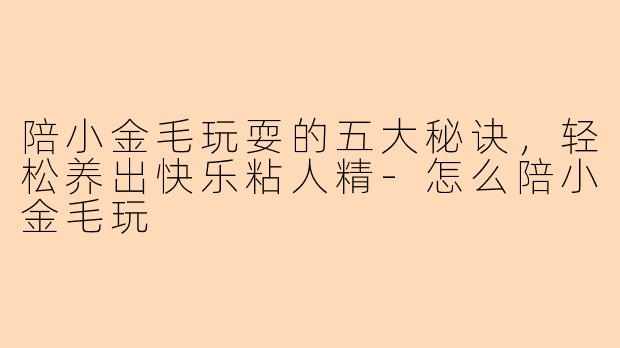 陪小金毛玩耍的五大秘诀，轻松养出快乐粘人精-怎么陪小金毛玩