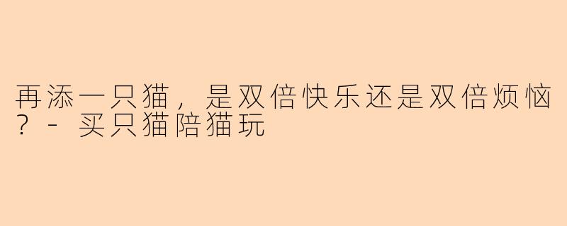 再添一只猫，是双倍快乐还是双倍烦恼？-买只猫陪猫玩