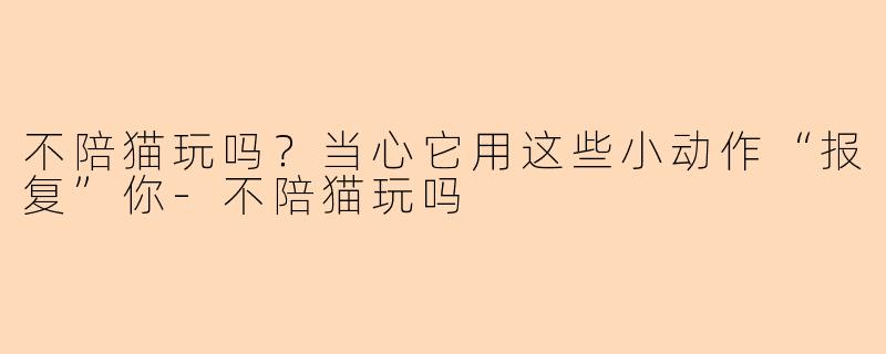 不陪猫玩吗?当心它用这些小动作“报复”你