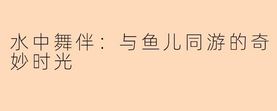 水中舞伴：与鱼儿同游的奇妙时光