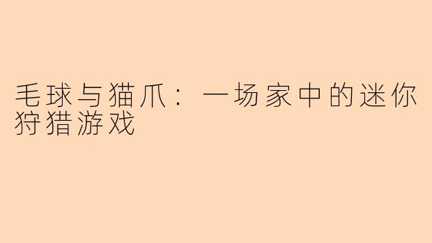 毛球与猫爪：一场家中的迷你狩猎游戏
