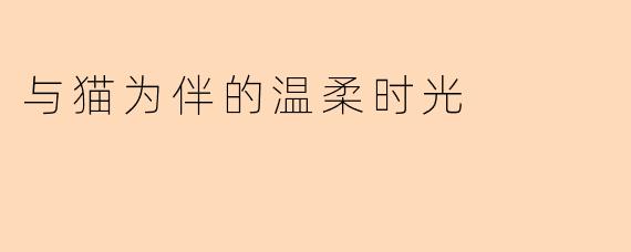 与猫为伴的温柔时光