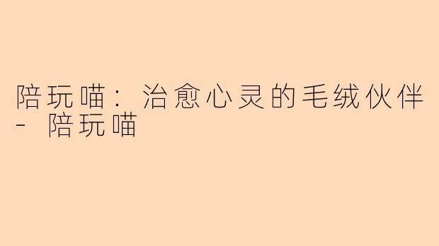 陪玩喵：治愈心灵的毛绒伙伴-陪玩喵