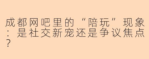 成都网吧里的“陪玩”现象：是社交新宠还是争议焦点？