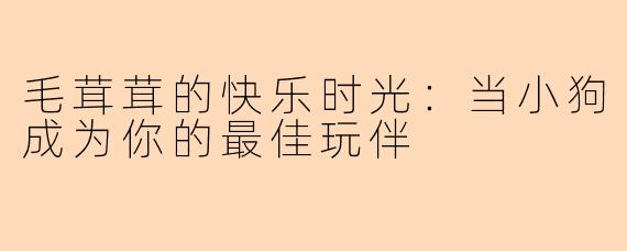 毛茸茸的快乐时光：当小狗成为你的最佳玩伴