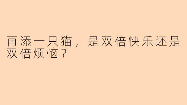 再添一只猫，是双倍快乐还是双倍烦恼？