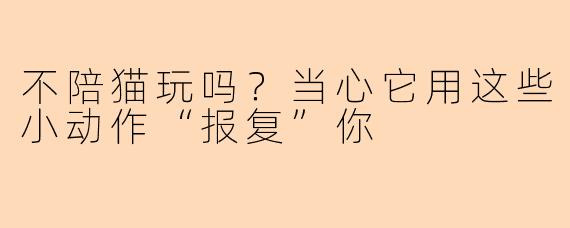 不陪猫玩吗？当心它用这些小动作“报复”你