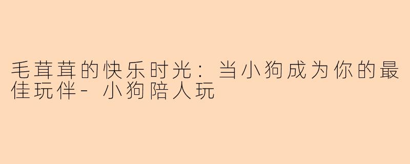毛茸茸的快乐时光：当小狗成为你的最佳玩伴-小狗陪人玩