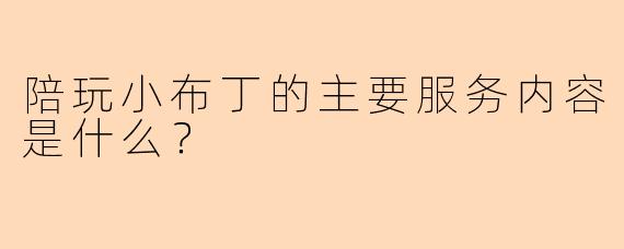 陪玩小布丁的主要服务内容是什么？