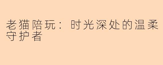 老猫陪玩：时光深处的温柔守护者