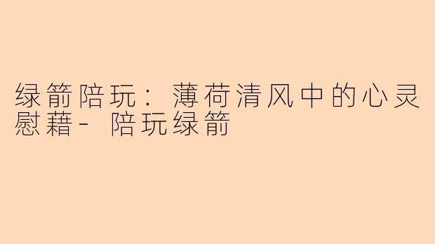 绿箭陪玩：薄荷清风中的心灵慰藉-陪玩绿箭