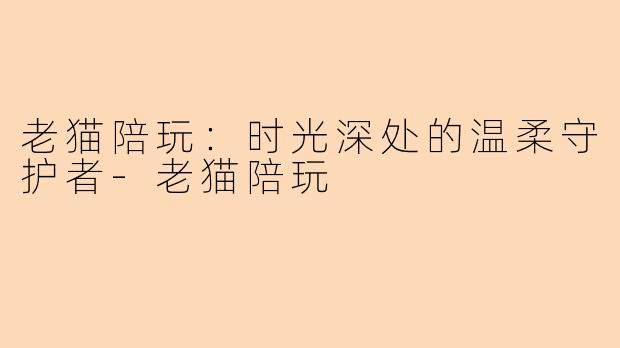 老猫陪玩：时光深处的温柔守护者-老猫陪玩