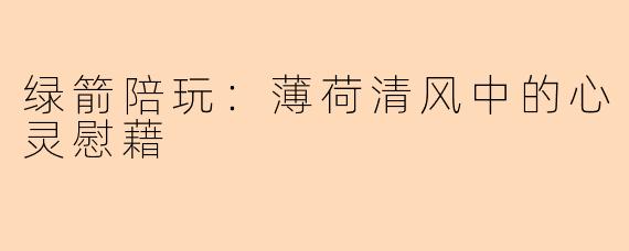 绿箭陪玩：薄荷清风中的心灵慰藉