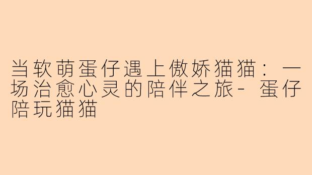当软萌蛋仔遇上傲娇猫猫：一场治愈心灵的陪伴之旅-蛋仔陪玩猫猫