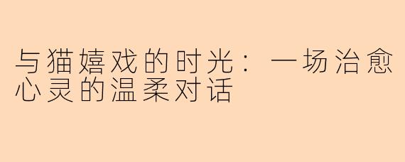 与猫嬉戏的时光：一场治愈心灵的温柔对话