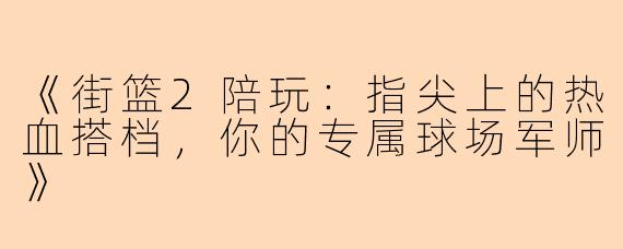 《街篮2陪玩：指尖上的热血搭档，你的专属球场军师》