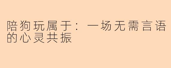 陪狗玩属于：一场无需言语的心灵共振