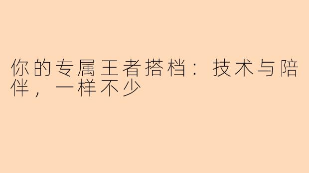 你的专属王者搭档：技术与陪伴，一样不少