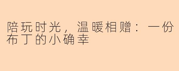 陪玩时光，温暖相赠：一份布丁的小确幸