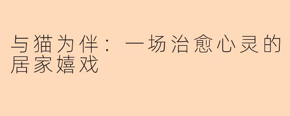 与猫为伴：一场治愈心灵的居家嬉戏