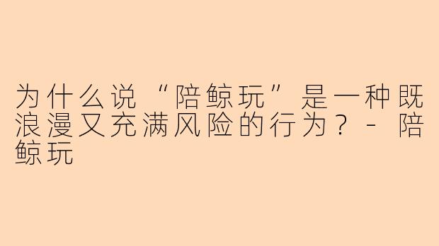 为什么说“陪鲸玩”是一种既浪漫又充满风险的行为？