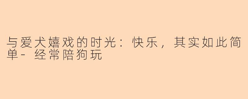 与爱犬嬉戏的时光：快乐，其实如此简单-经常陪狗玩