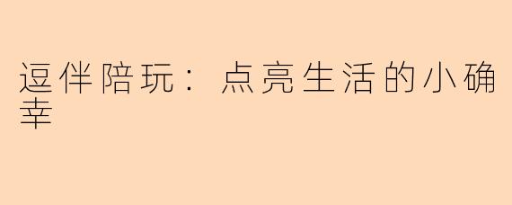 逗伴陪玩：点亮生活的小确幸