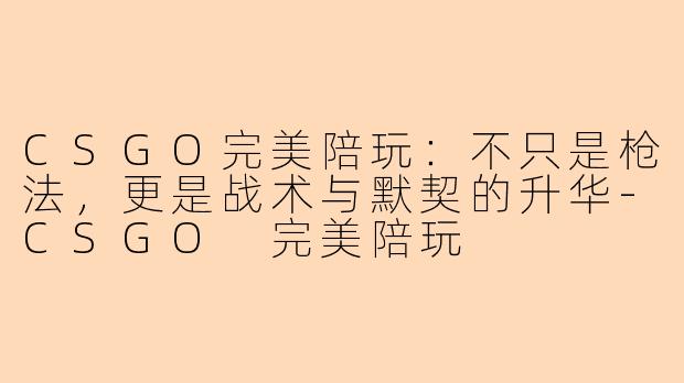 CSGO完美陪玩：不只是枪法，更是战术与默契的升华-CSGO 完美陪玩