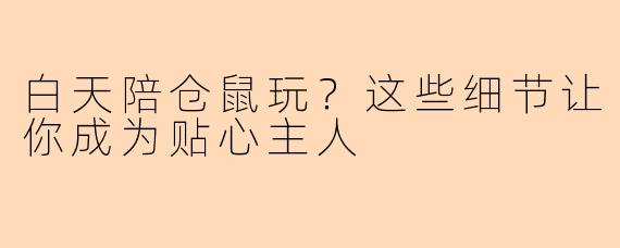 白天陪仓鼠玩？这些细节让你成为贴心主人