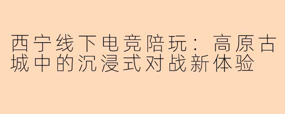 西宁线下电竞陪玩：高原古城中的沉浸式对战新体验