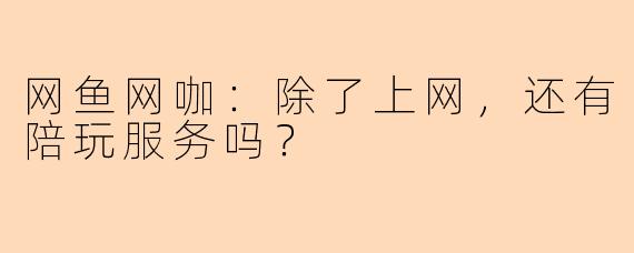 网鱼网咖：除了上网，还有陪玩服务吗？