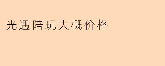 光遇陪玩大概价格
