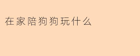在家陪狗狗玩什么