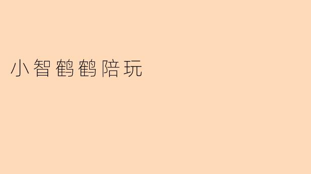 小智鹤鹤陪玩：温暖陪伴，点亮你的闲暇时光