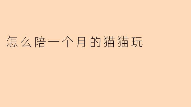 怎么陪一个月的猫猫玩