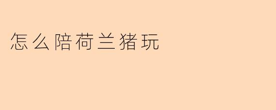 怎么陪荷兰猪玩