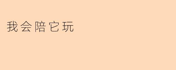 我会陪它玩