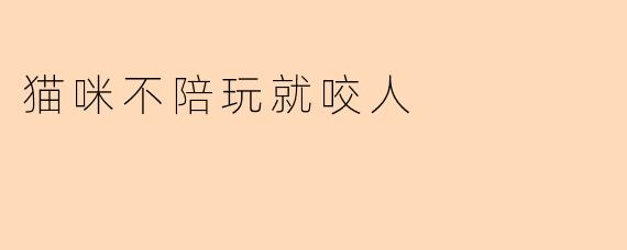 猫咪不陪玩就咬人